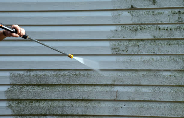 Animal Enclosure Cleaning in Nellysford, VA